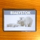 magnes Białystok niedżwiedzie polarne
