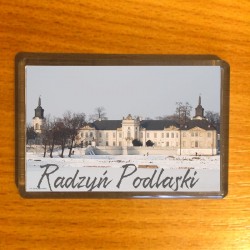 magnes Radzyń Podlaski pałac